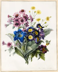 Fiori misti, Aster sp., Auricula, Senecio, Viola, Campanula, Gentiana Acaulis, 1828